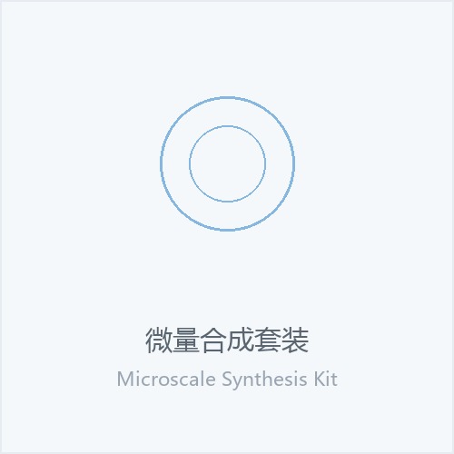 微量合成套装